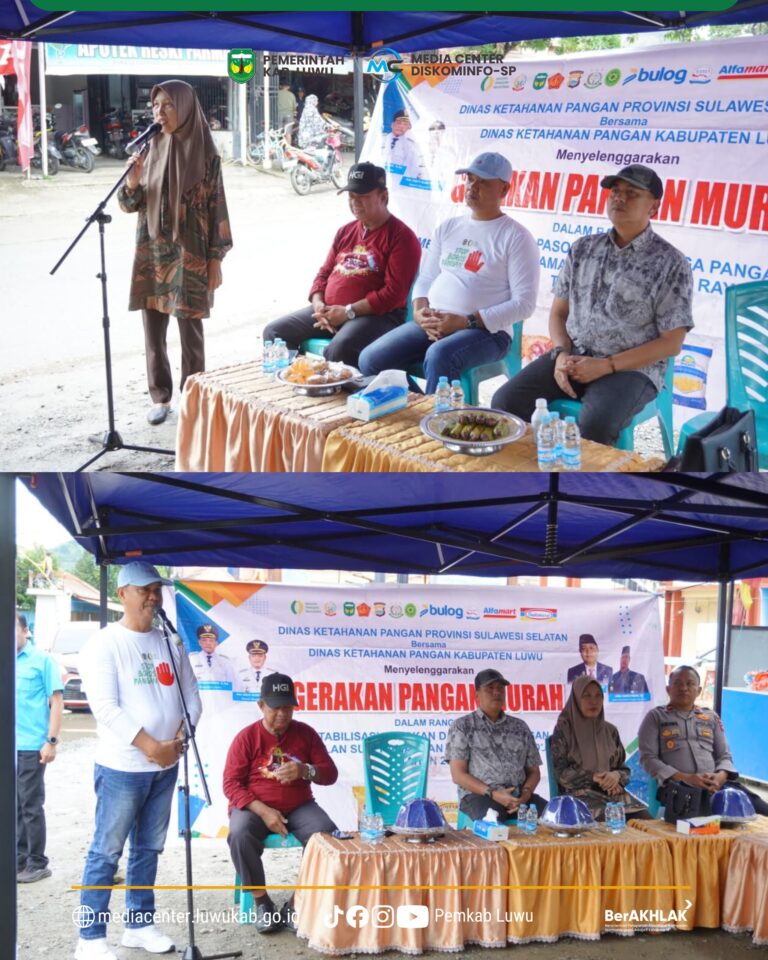 WhatsApp Image 2026-02-17 at 17.42.44