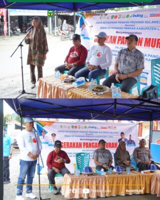 WhatsApp Image 2026-02-17 at 17.42.44