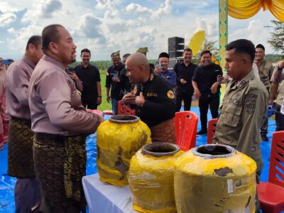 WhatsApp Image 2026-02-17 at 17.56.04