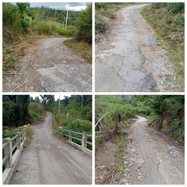 WhatsApp Image 2026-02-17 at 19.30.23 (1)