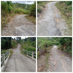 WhatsApp Image 2026-02-17 at 19.30.23 (1)