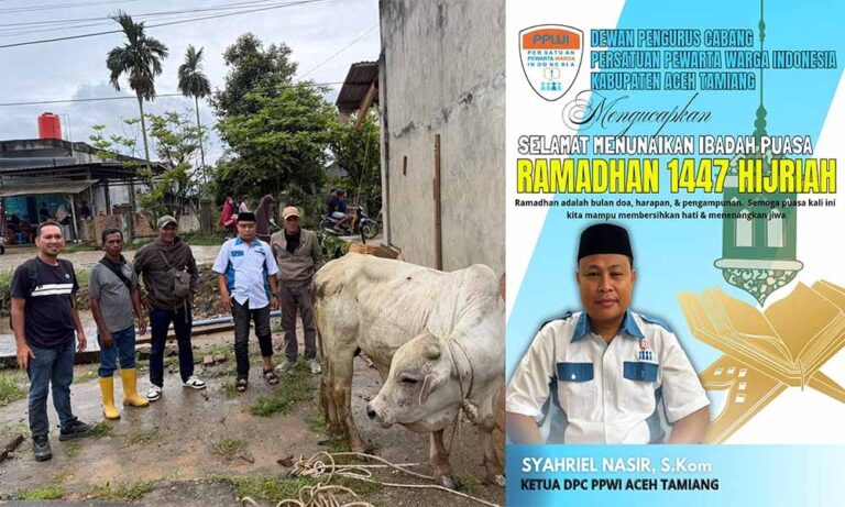 WhatsApp Image 2026-02-18 at 02.03.27