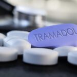 WhatsApp Image 2026-02-19 at 00.12.00