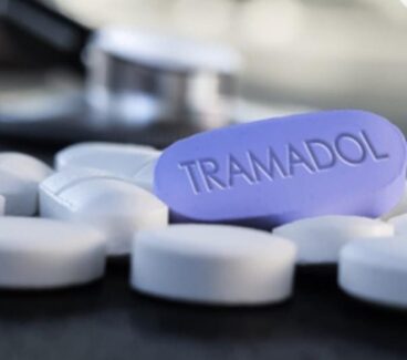 WhatsApp Image 2026-02-19 at 00.12.00