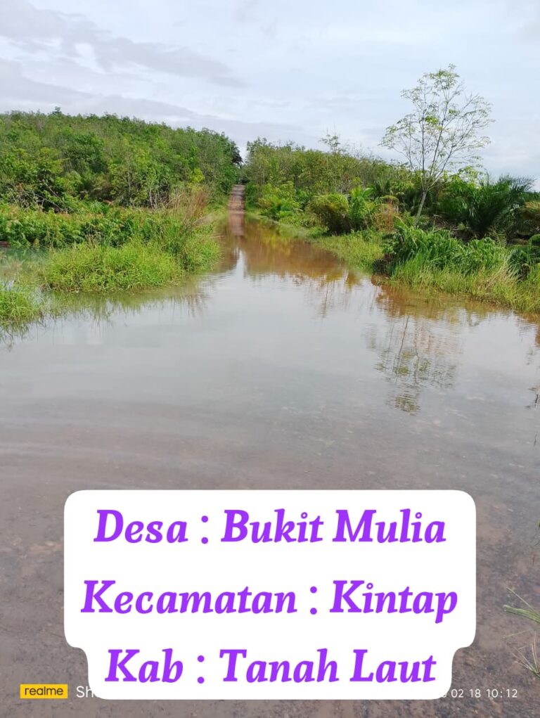 WhatsApp Image 2026-02-19 at 05.48.50