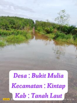 WhatsApp Image 2026-02-19 at 05.48.50