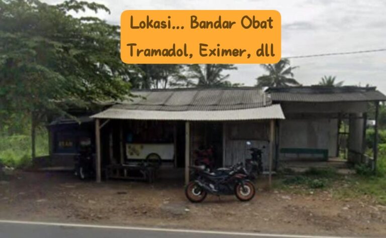 WhatsApp Image 2026-02-19 at 13.17.12