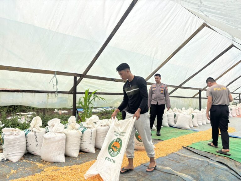 WhatsApp Image 2026-02-20 at 07.49.10