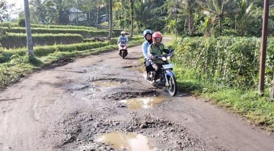 WhatsApp Image 2026-02-20 at 12.45.12