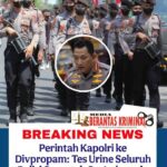 WhatsApp Image 2026-02-21 at 21.11.29