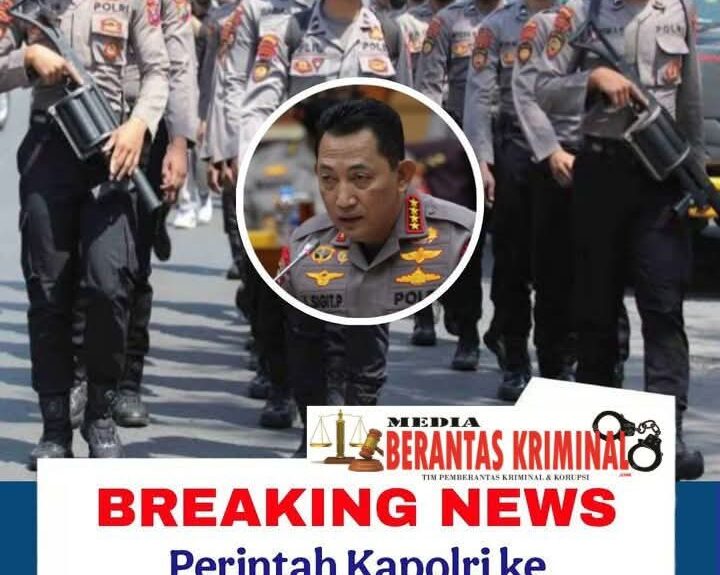 WhatsApp Image 2026-02-21 at 21.11.29