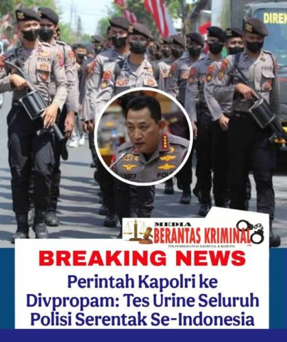 WhatsApp Image 2026-02-21 at 21.11.29