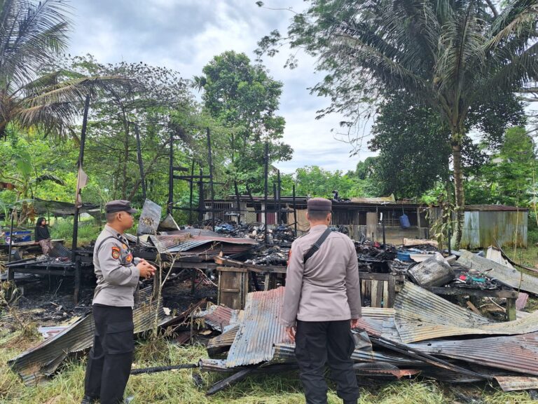 WhatsApp Image 2026-02-22 at 15.33.56