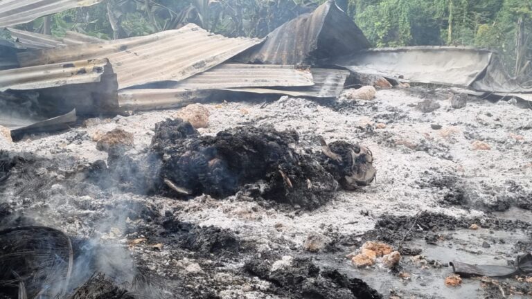 WhatsApp Image 2026-02-22 at 17.50.00