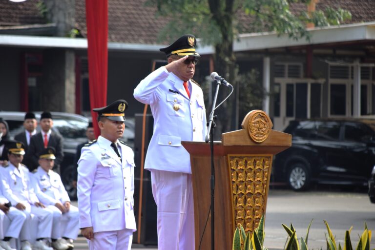 WhatsApp Image 2026-02-22 at 23.00.53