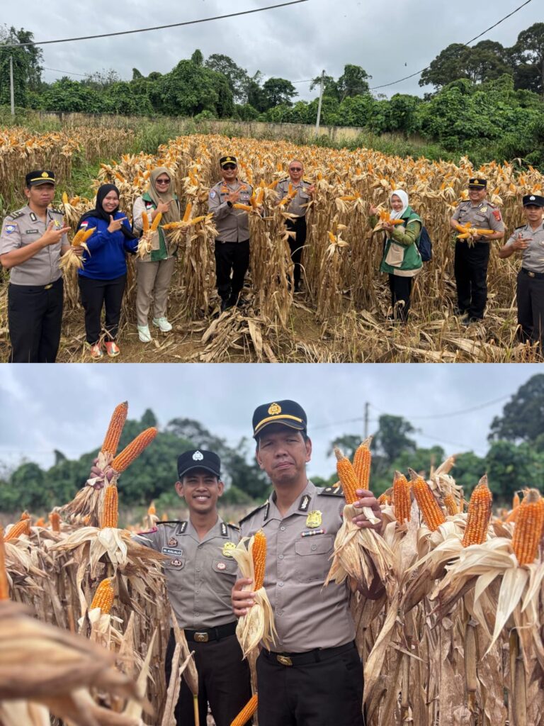 WhatsApp Image 2026-02-23 at 21.11.13