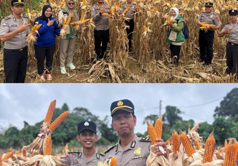 WhatsApp Image 2026-02-23 at 21.11.13