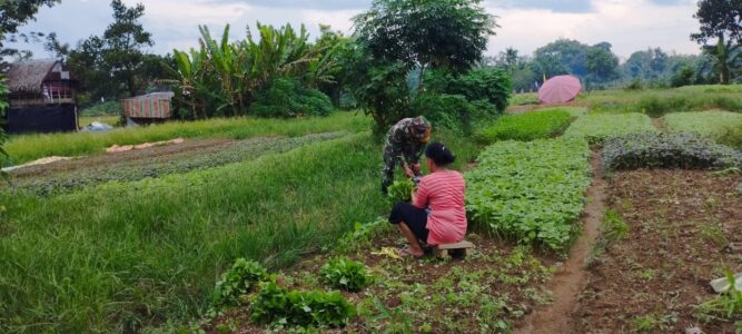 WhatsApp Image 2026-02-24 at 05.05.58