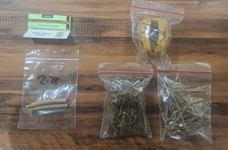 WhatsApp Image 2026-02-24 at 12.48.33