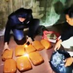 WhatsApp Image 2026-02-24 at 16.31.02 (1)