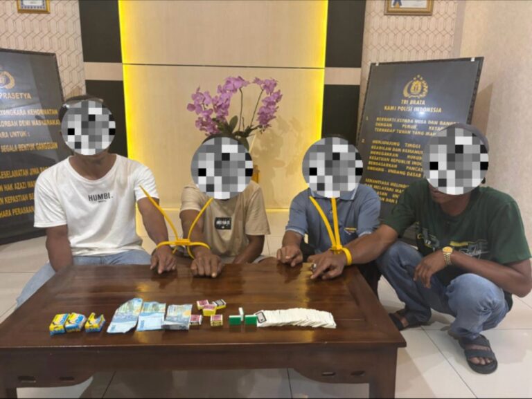 WhatsApp Image 2026-02-25 at 05.53.43