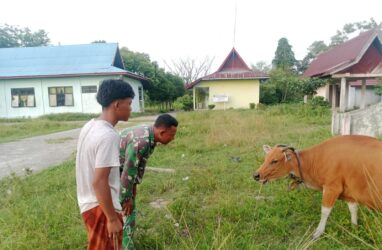 WhatsApp Image 2026-02-25 at 11.50.34