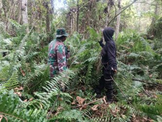 WhatsApp Image 2026-02-25 at 12.31.52