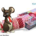 WhatsApp Image 2026-02-27 at 16.04.32