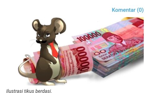 WhatsApp Image 2026-02-27 at 16.04.32