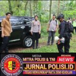 WhatsApp Image 2026-02-27 at 18.33.31