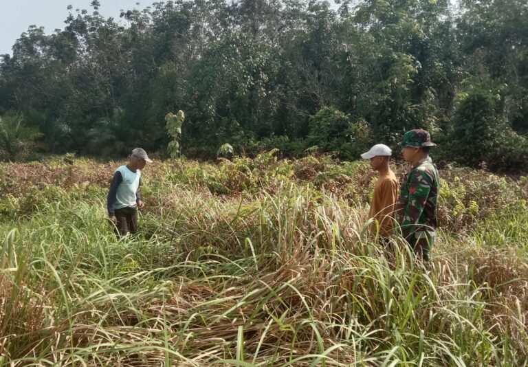 WhatsApp Image 2026-03-02 at 13.11.12