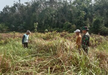 WhatsApp Image 2026-03-02 at 13.11.12