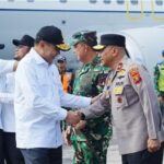 WhatsApp Image 2026-03-03 at 14.46.13