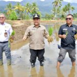 WhatsApp Image 2026-03-04 at 12.53.10