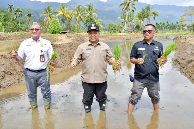 WhatsApp Image 2026-03-04 at 12.53.10