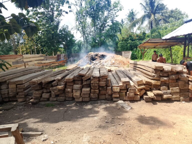 WhatsApp Image 2026-03-04 at 21.03.03