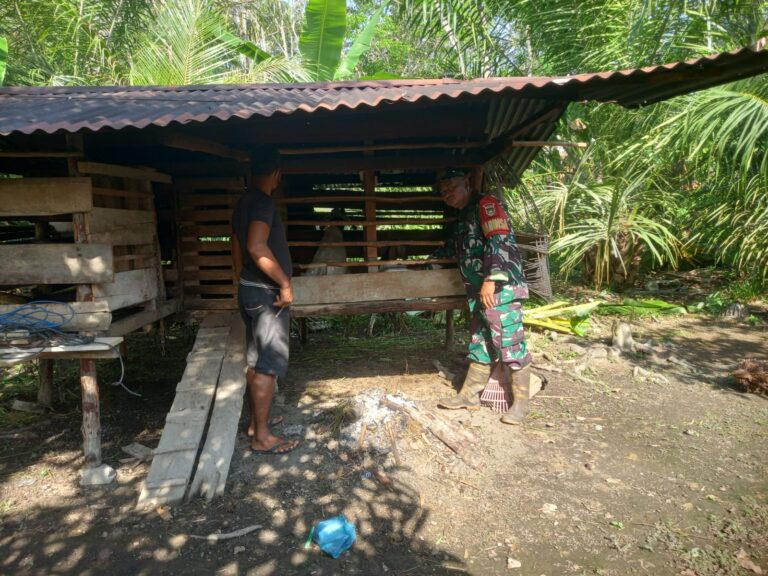 WhatsApp Image 2026-03-05 at 12.28.23