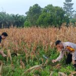 WhatsApp Image 2026-03-05 at 13.52.55