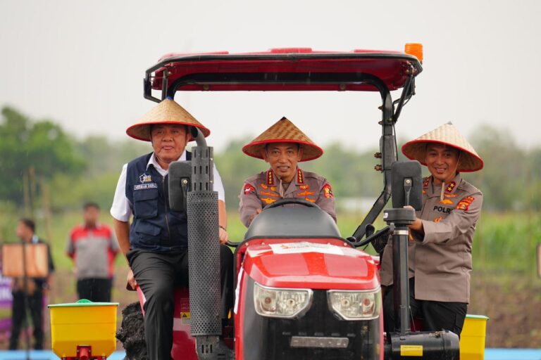 WhatsApp Image 2026-03-07 at 07.03.24