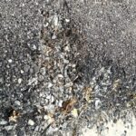 WhatsApp Image 2026-03-07 at 08.26.42