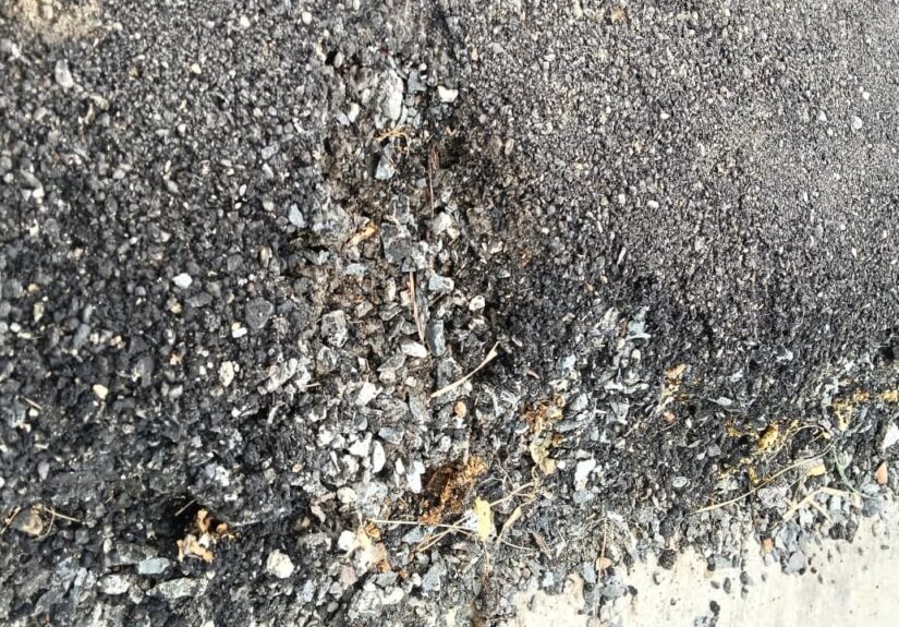 WhatsApp Image 2026-03-07 at 08.26.42