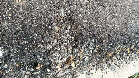 WhatsApp Image 2026-03-07 at 08.26.42