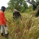 WhatsApp Image 2026-03-07 at 12.08.46