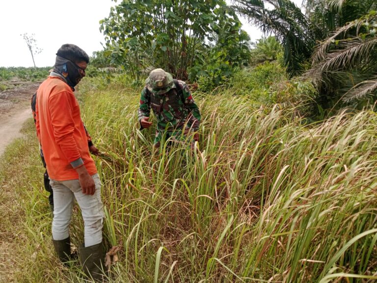 WhatsApp Image 2026-03-07 at 12.08.46