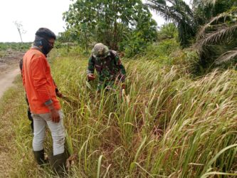 WhatsApp Image 2026-03-07 at 12.08.46