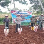 WhatsApp Image 2026-03-07 at 19.38.25