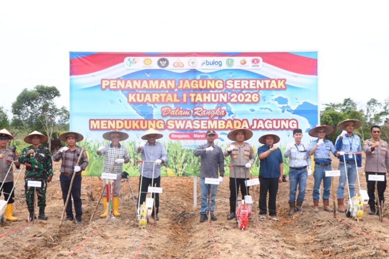 WhatsApp Image 2026-03-08 at 08.26.19