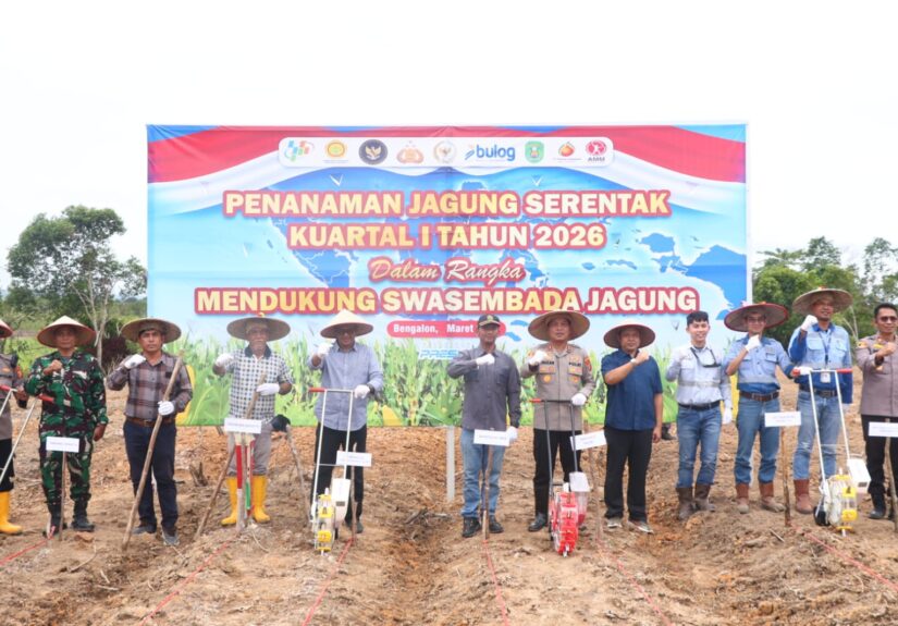 WhatsApp Image 2026-03-08 at 08.26.19