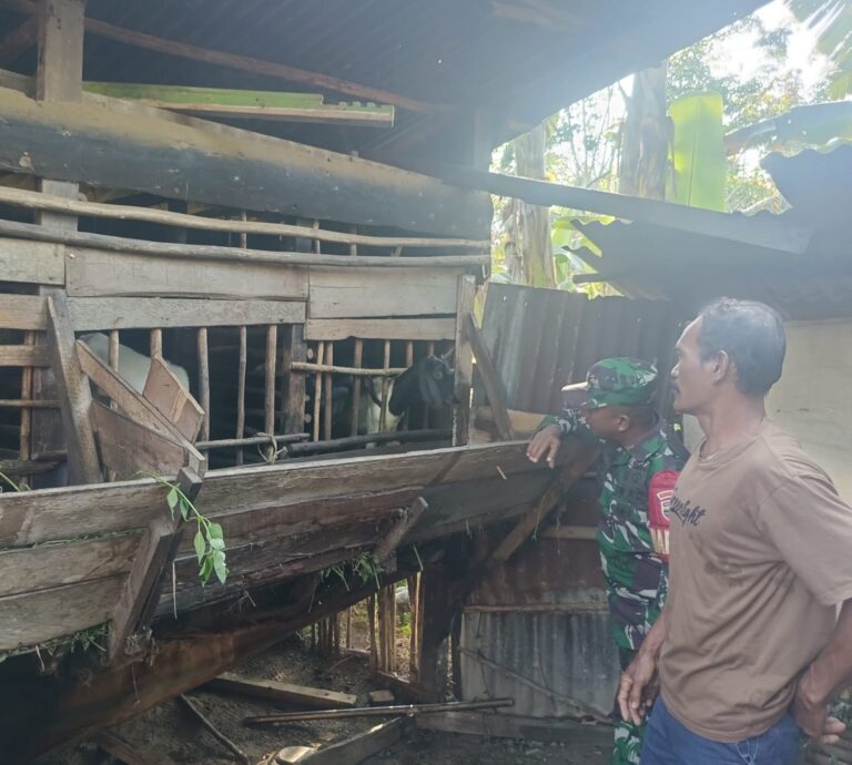 WhatsApp Image 2026-03-09 at 12.30.10