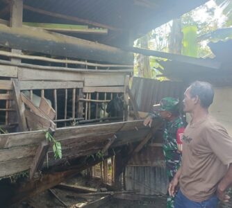 WhatsApp Image 2026-03-09 at 12.30.10